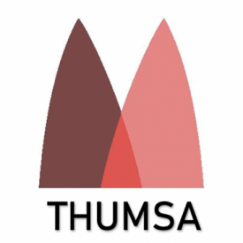 THUMSA (Tsinghua University Malaysian Students Association)